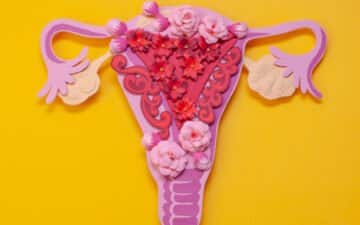 sistema reprodutivo da mulher ligado à endometriose