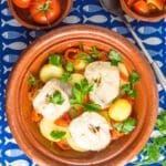 clay platter with low fodmap mediterranean fish stew